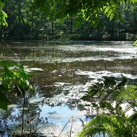 Pensjonat Wassermuehle