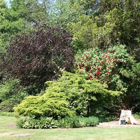 Wassermuehle Pensjonat