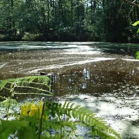 Pensjonat Wassermuehle