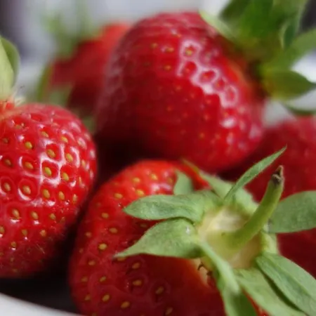 Wassermuehle 3* Eldingen