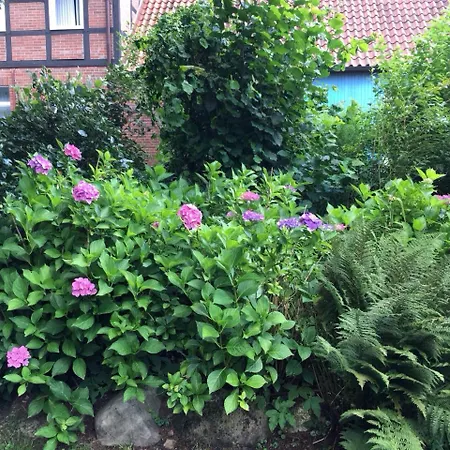 Wassermuehle